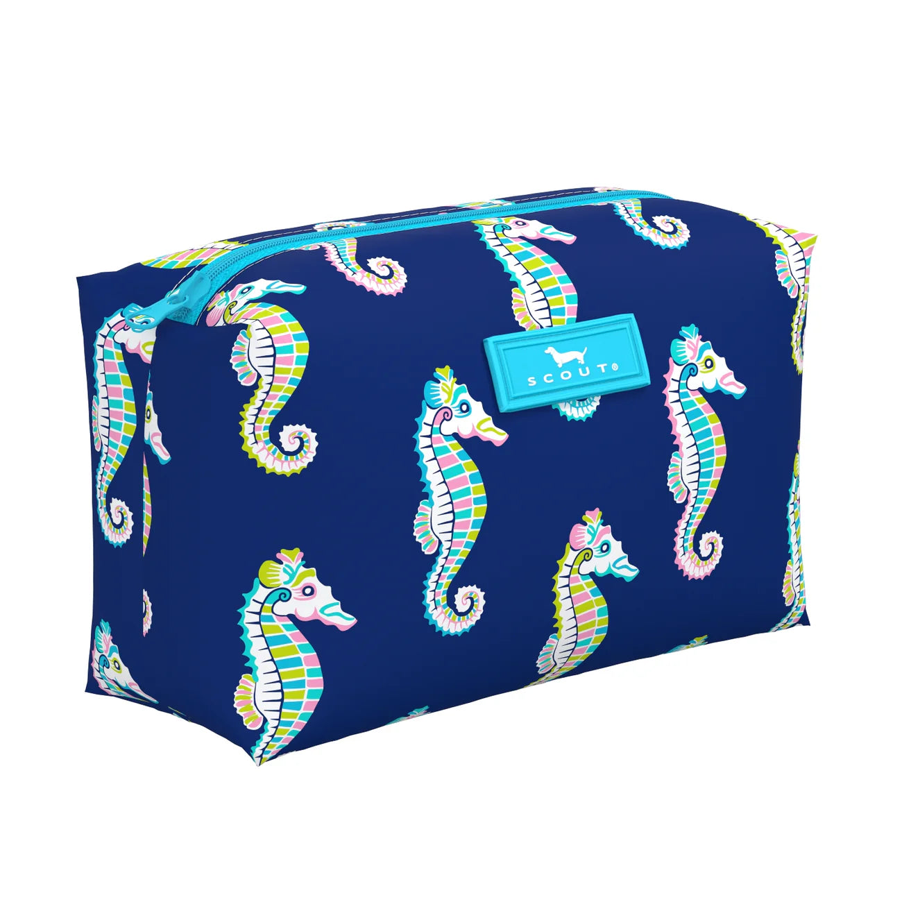 TINY TREASURES-SEA BISCUIT