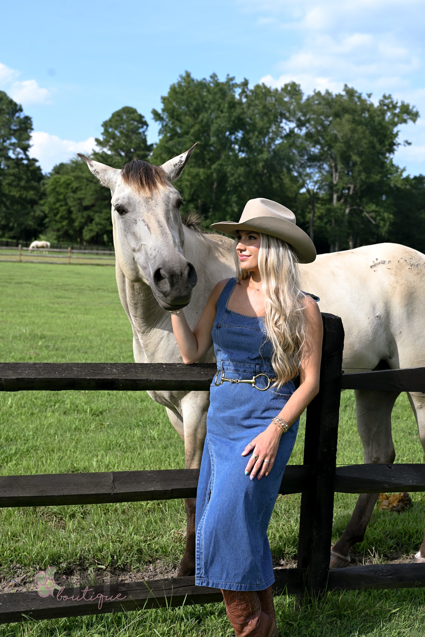 Huckleberry Denim Midi Dress