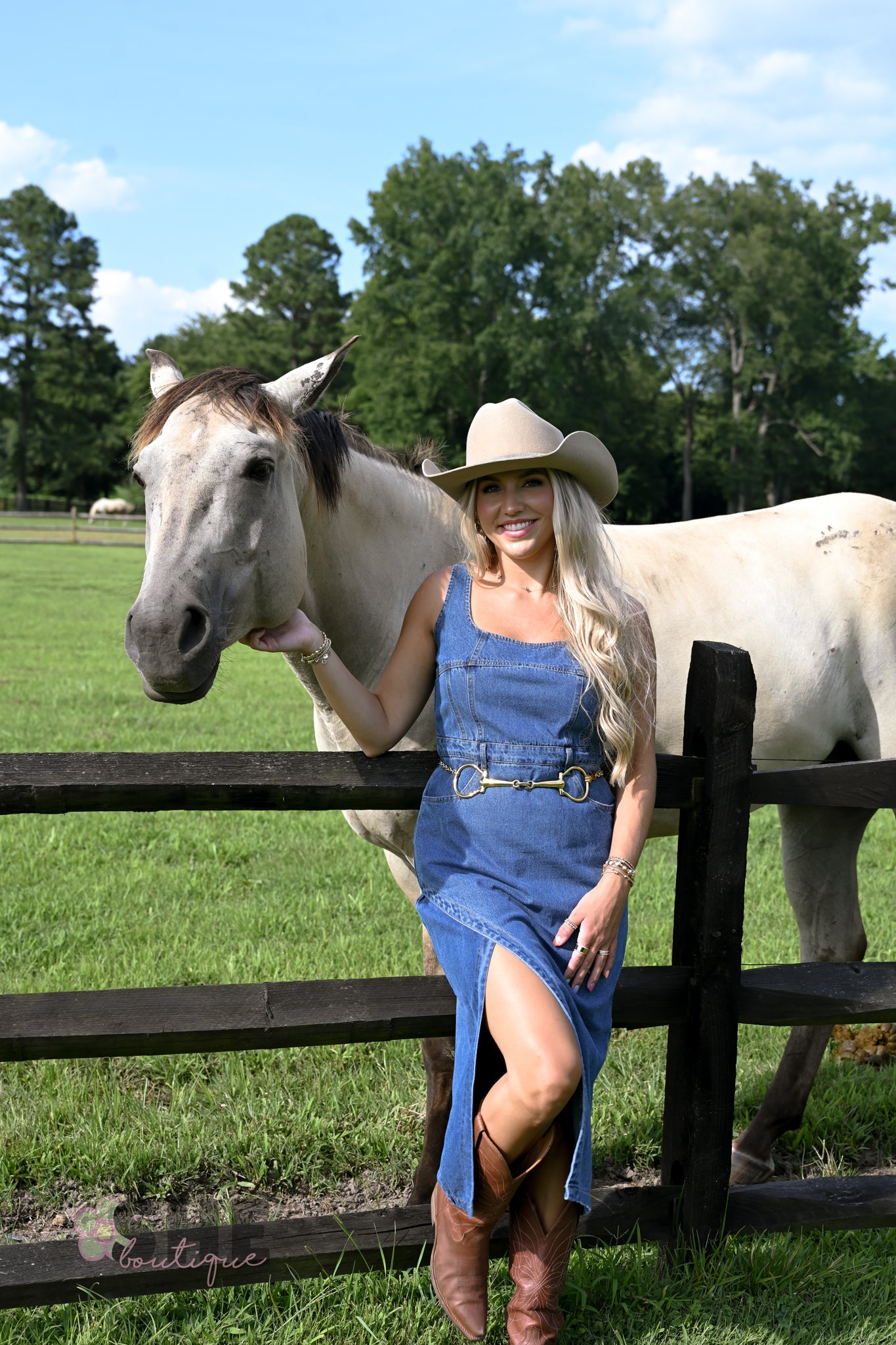 Huckleberry Denim Midi Dress