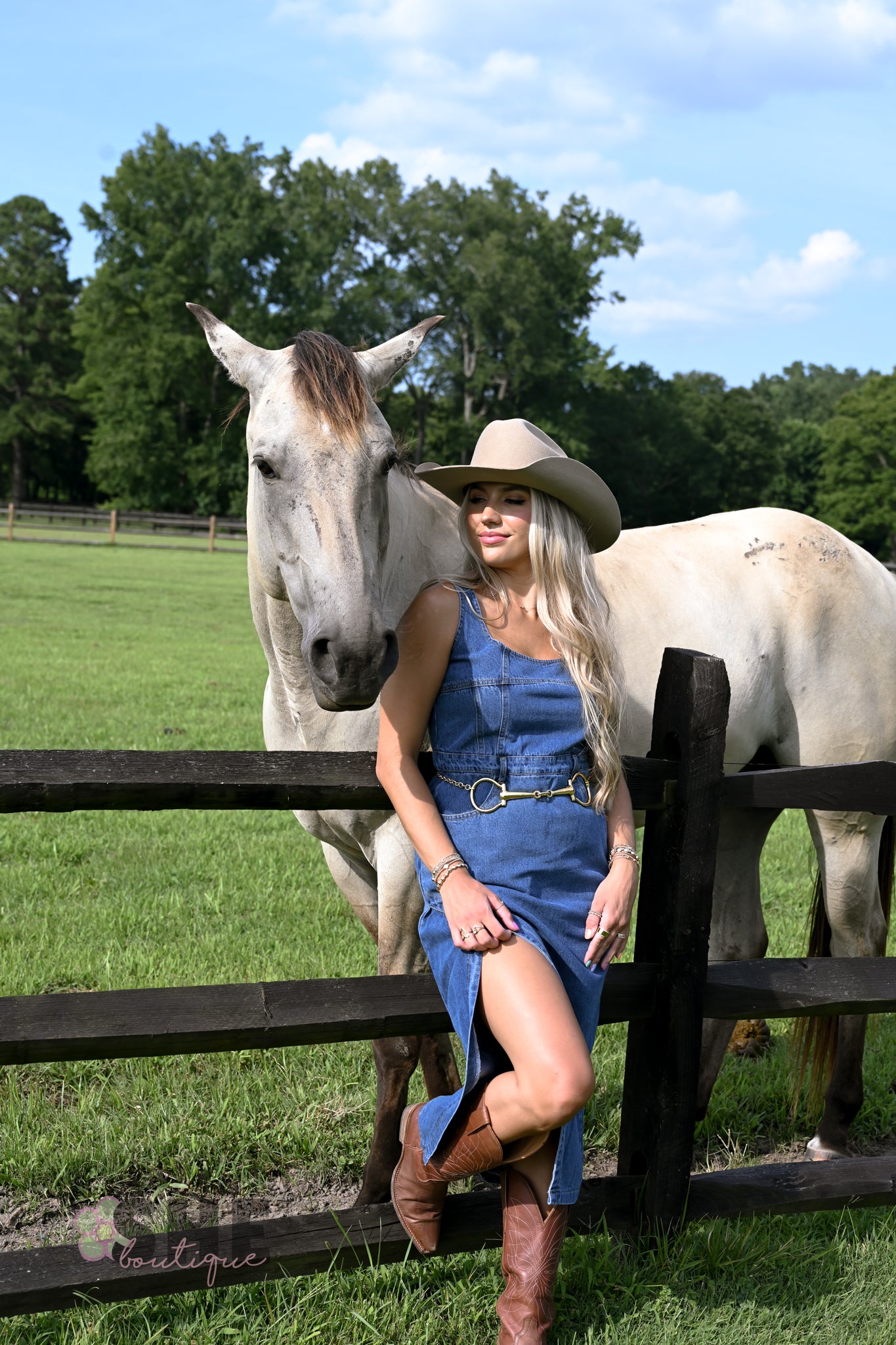 Huckleberry Denim Midi Dress