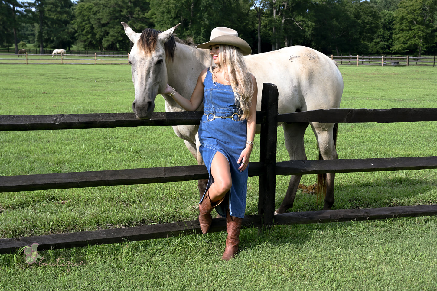 Huckleberry Denim Midi Dress