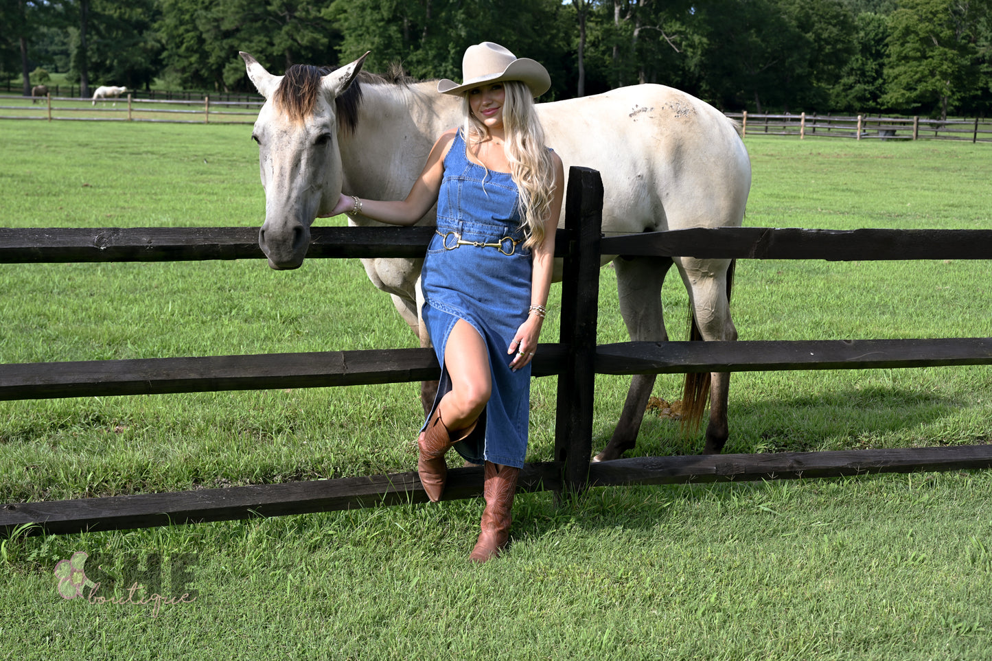 Huckleberry Denim Midi Dress