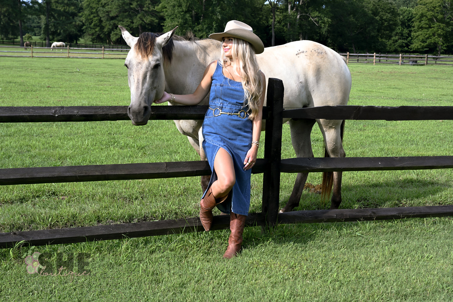 Huckleberry Denim Midi Dress