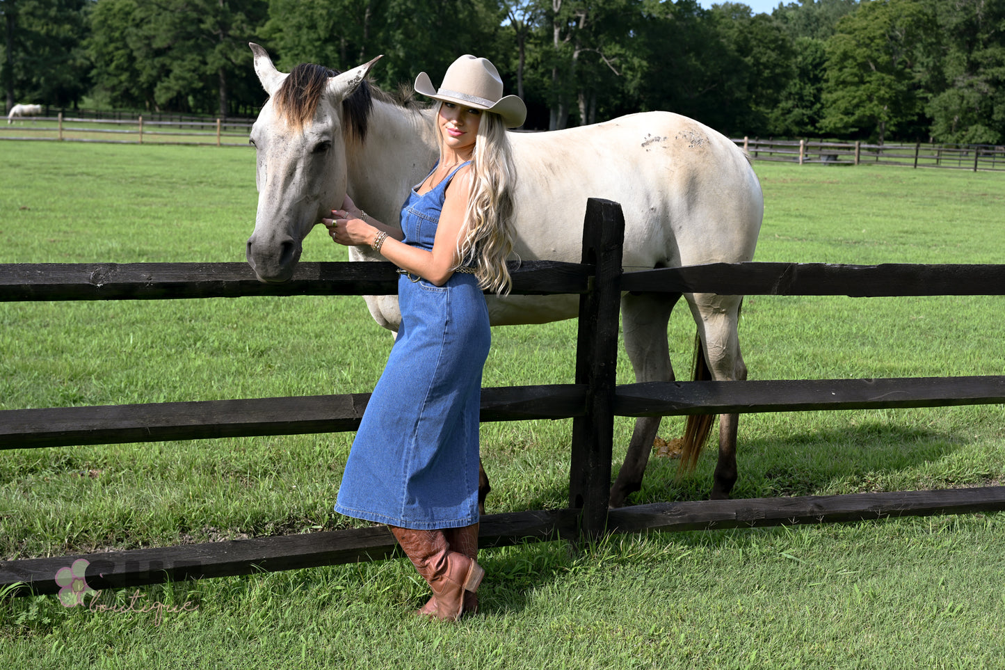 Huckleberry Denim Midi Dress
