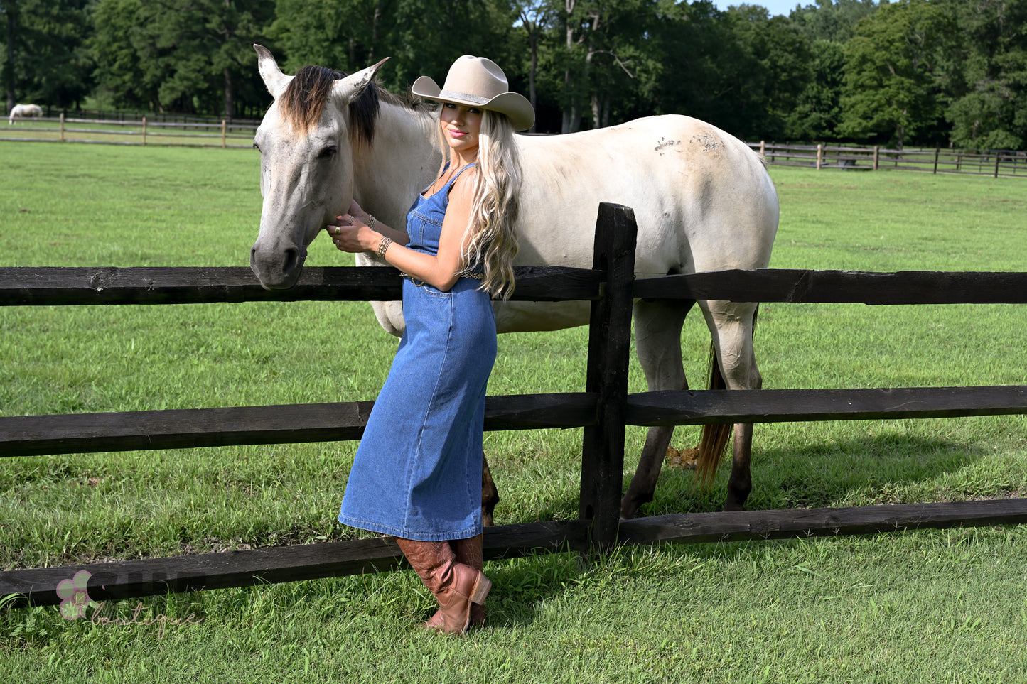 Huckleberry Denim Midi Dress