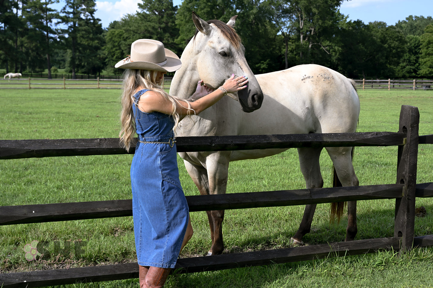 Huckleberry Denim Midi Dress
