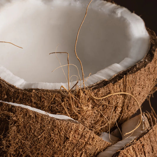 Pura Car Coconut Calm