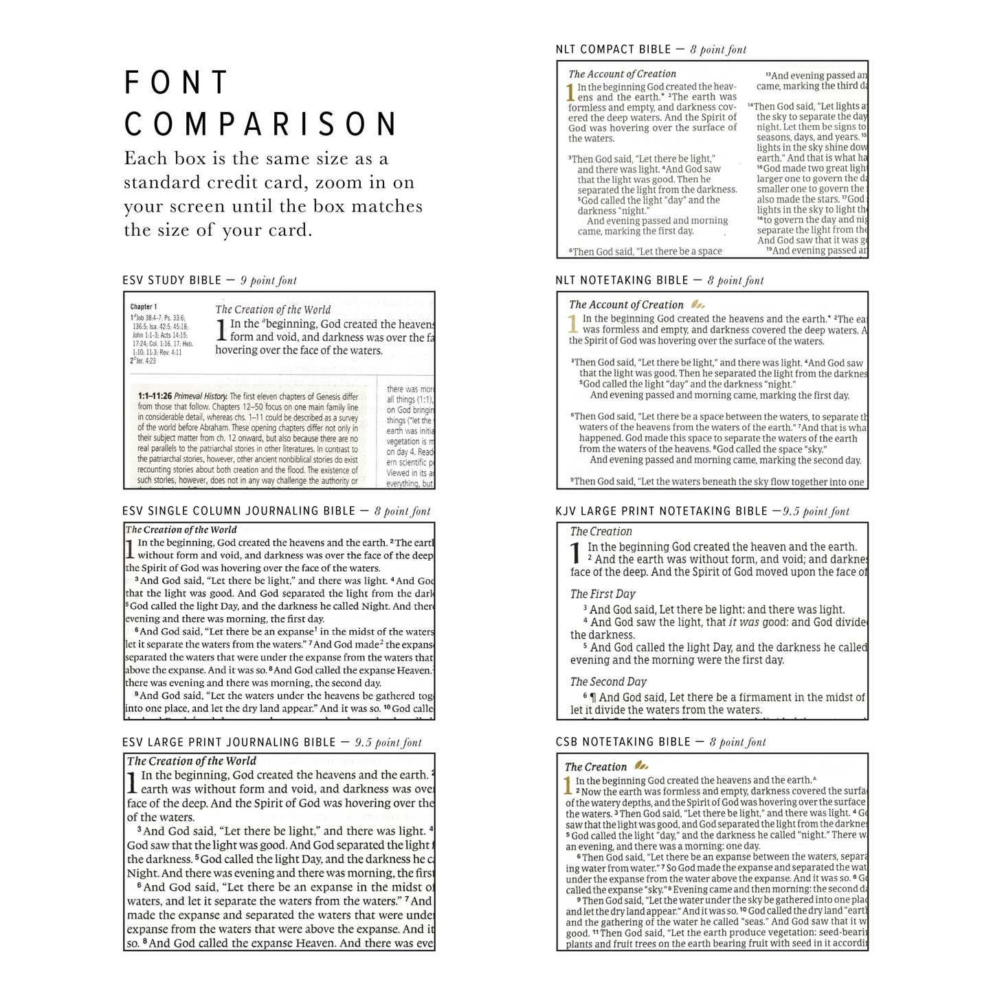 KJV Large Print Notetaking Bible: Shiloh Theme - She Chester