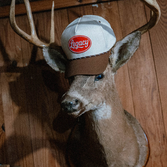 Legacy Snapback - She Chester