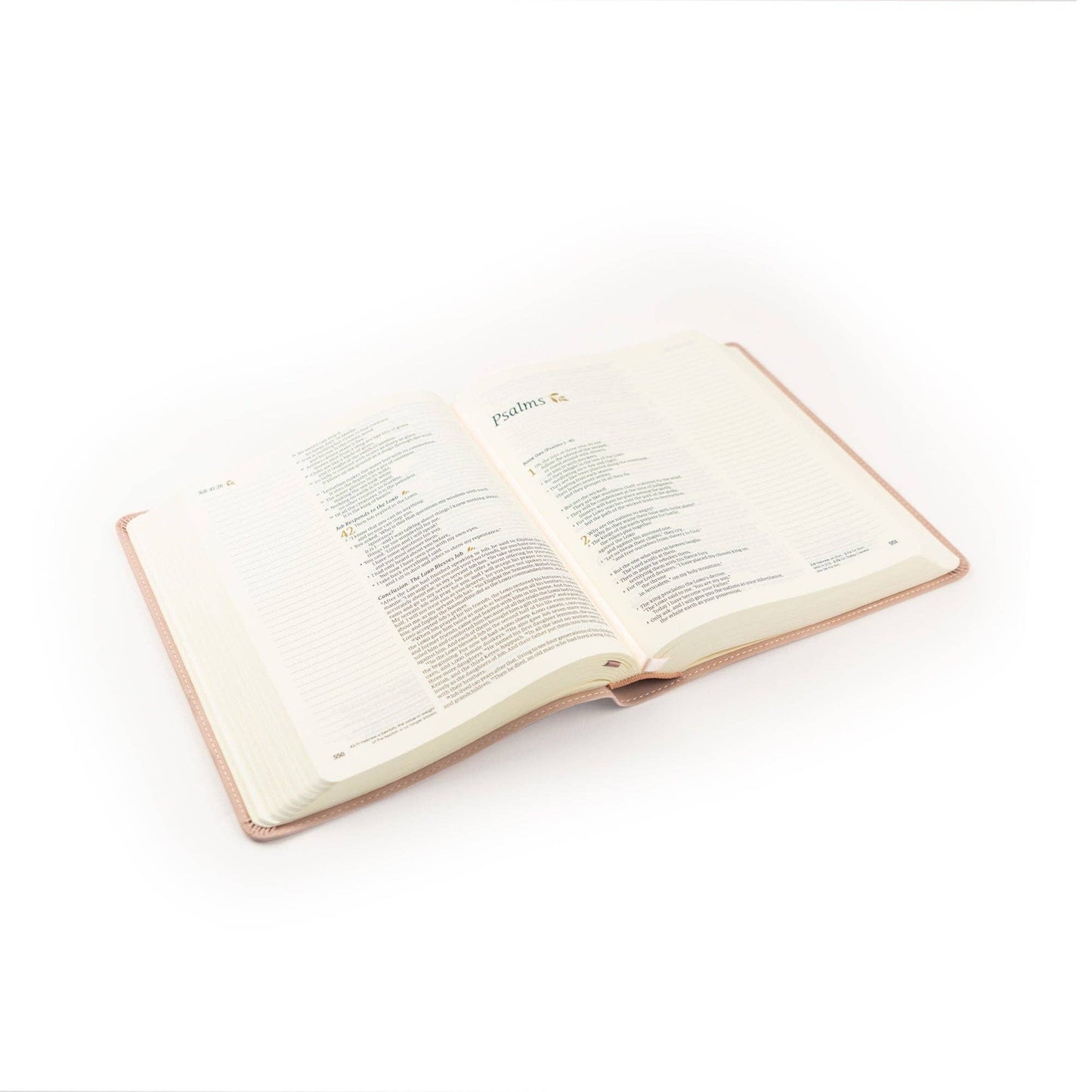 NLT Notetaking Bible : Shiloh Theme - She Chester