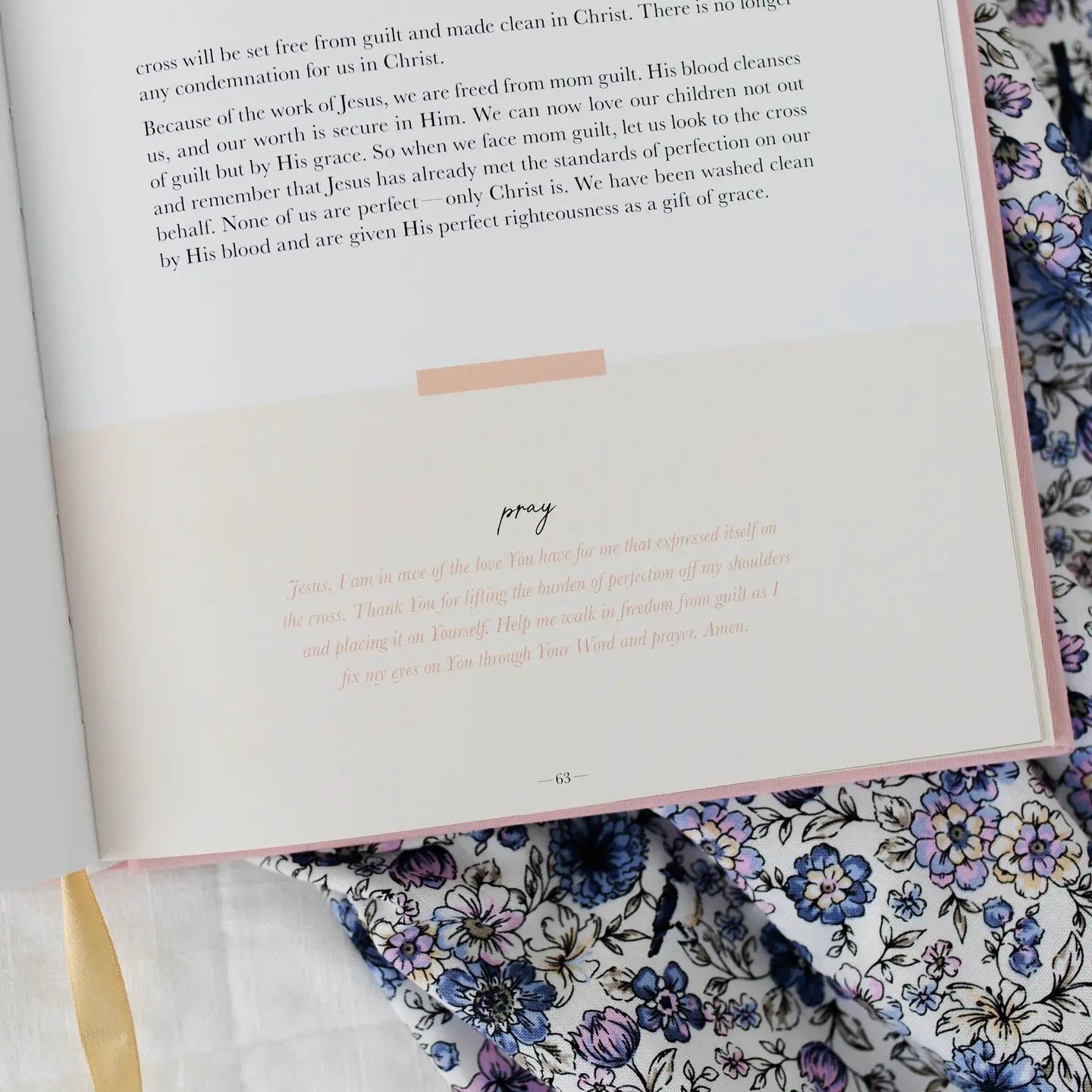 Steadfast Motherhood 60 Days Of Abiding Christ - She Chester