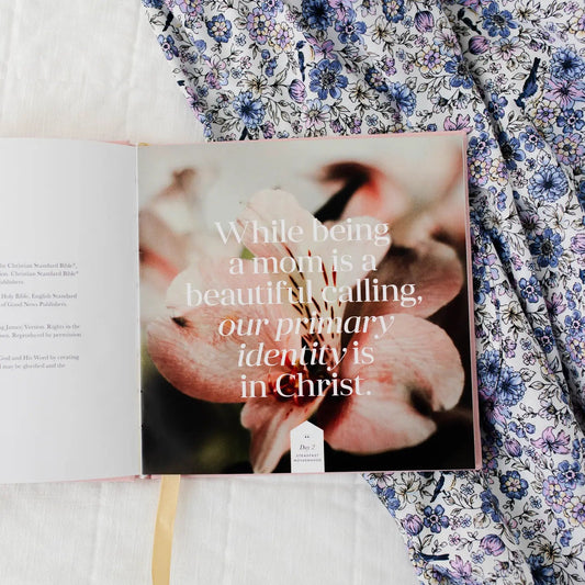 Steadfast Motherhood 60 Days Of Abiding Christ - She Chester