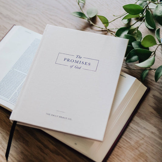 The Promises of God | Coffee Table Book - She Chester