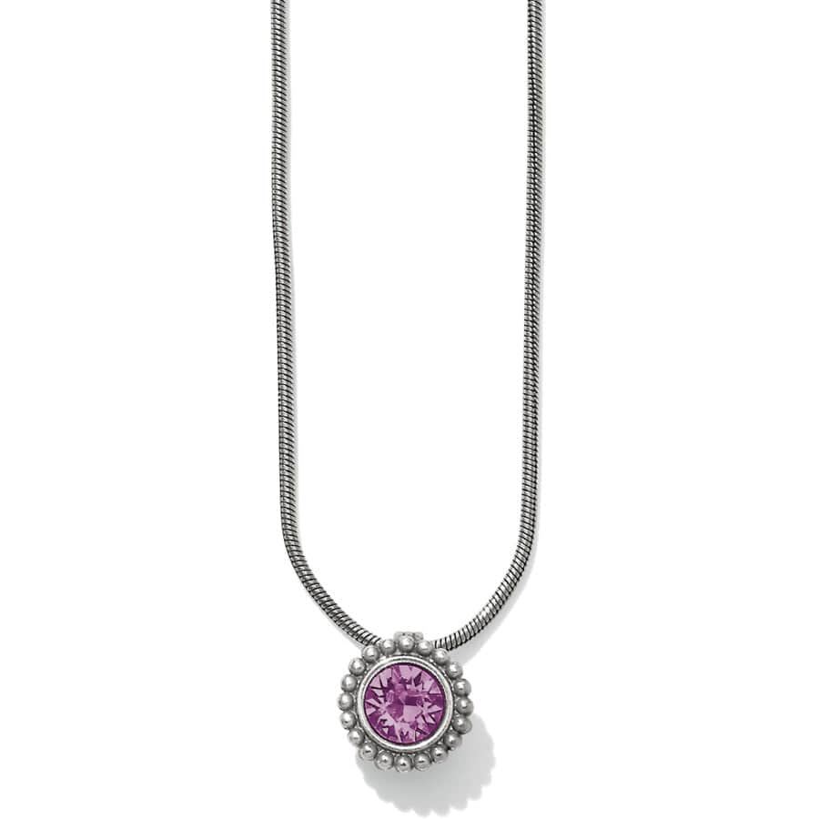 Twinkle Amethyst Necklace (February) - JL626G - She Chester
