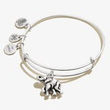 Elephant Animal Guide RS