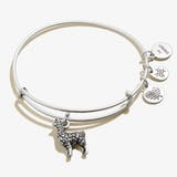 Llama Animal Guide RS