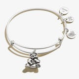 Panda Animal Guide RS