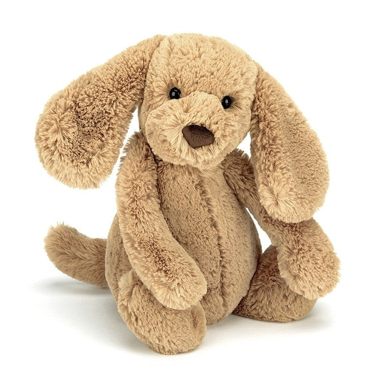 Small Bashful Toffee Puppy