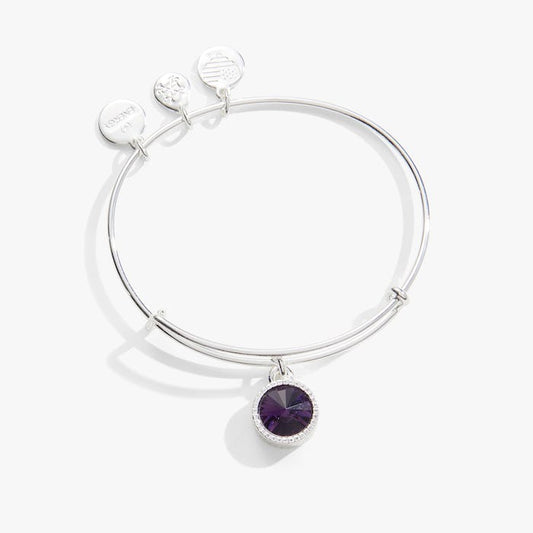 SS February Amythest Bangle II