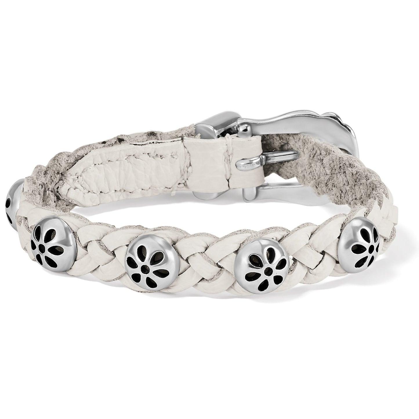 Daisy Optic White Bandit - She Chester