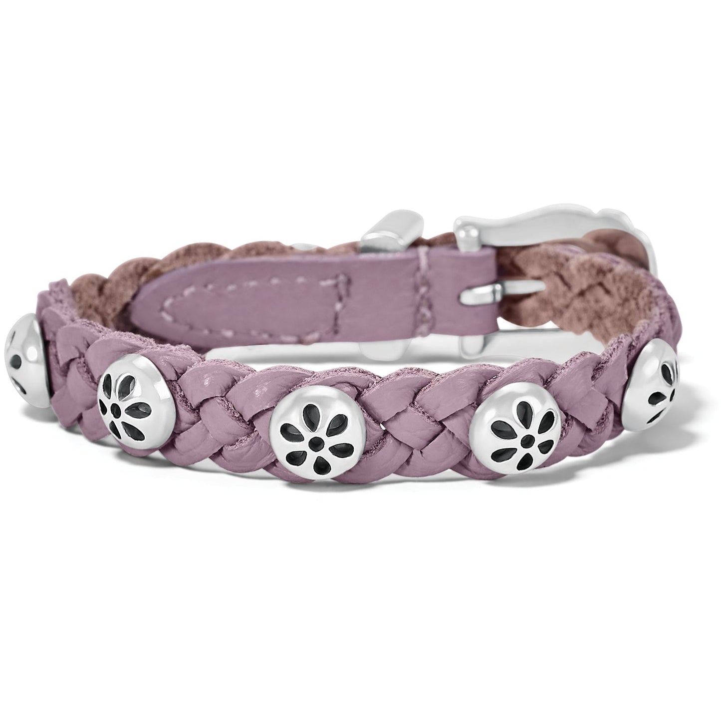 Daisy Wisteria Bandit - Purple - She Chester