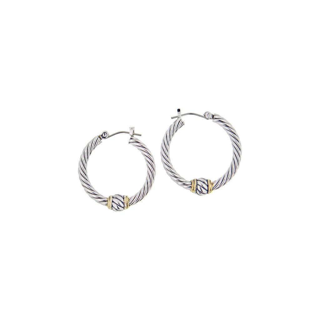 Oval Link Small Hoop Earrings