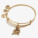 Panda Animal Guide RG - She Chester