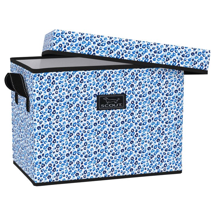 Rump Roost Med - Teacher's Pet - She Chester