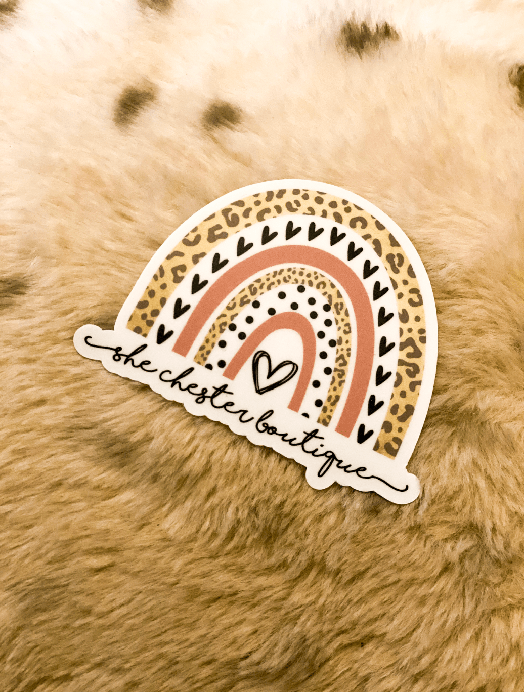 She Chester Rainbow Sticker - She Chester