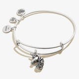 Unicorn Animal Guide RS - She Chester