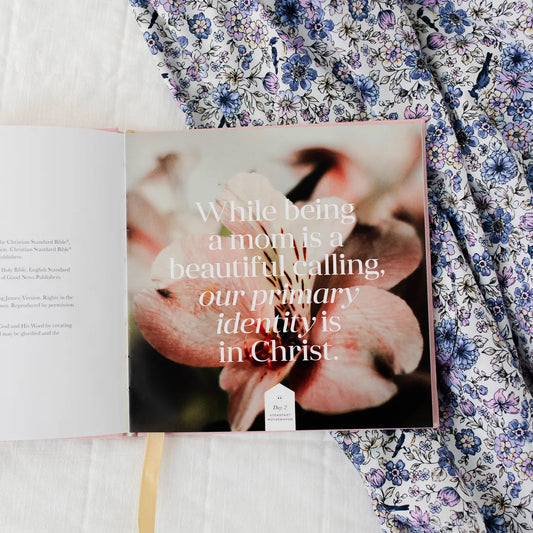 Steadfast Motherhood 60 Days Of Abiding Christ