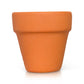 Can You Dig It? Pot