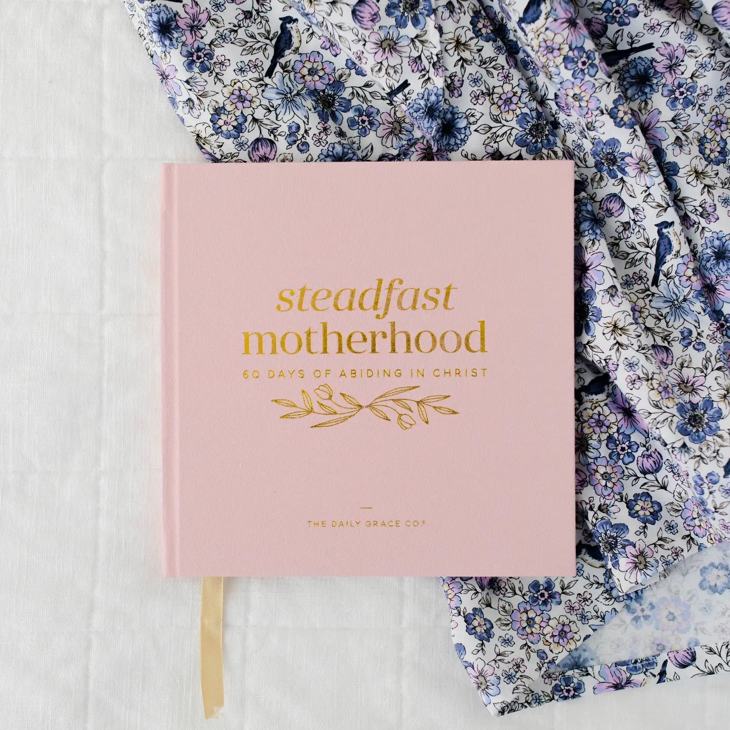 Steadfast Motherhood 60 Days Of Abiding Christ