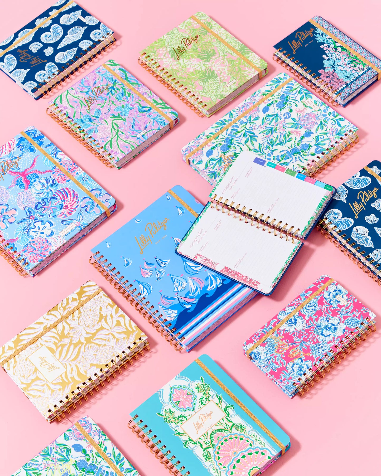 2024-2025 17 Month Jumbo Agenda - Lunar Blue A Lil Nauti Engineered Agenda