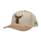 Buck Snapback