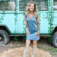 Diane Denim Mini Dress