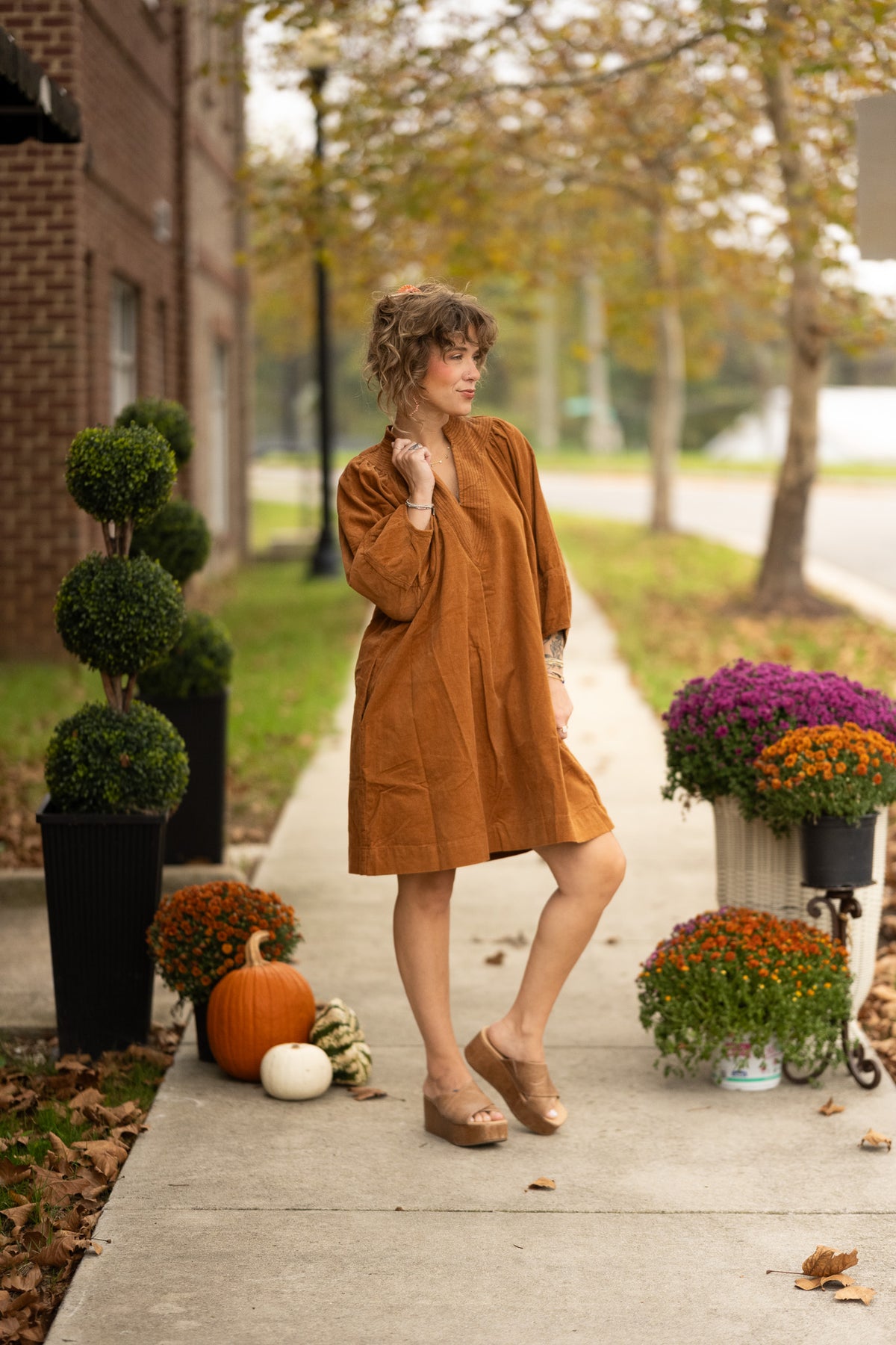 Anical Camel Dress