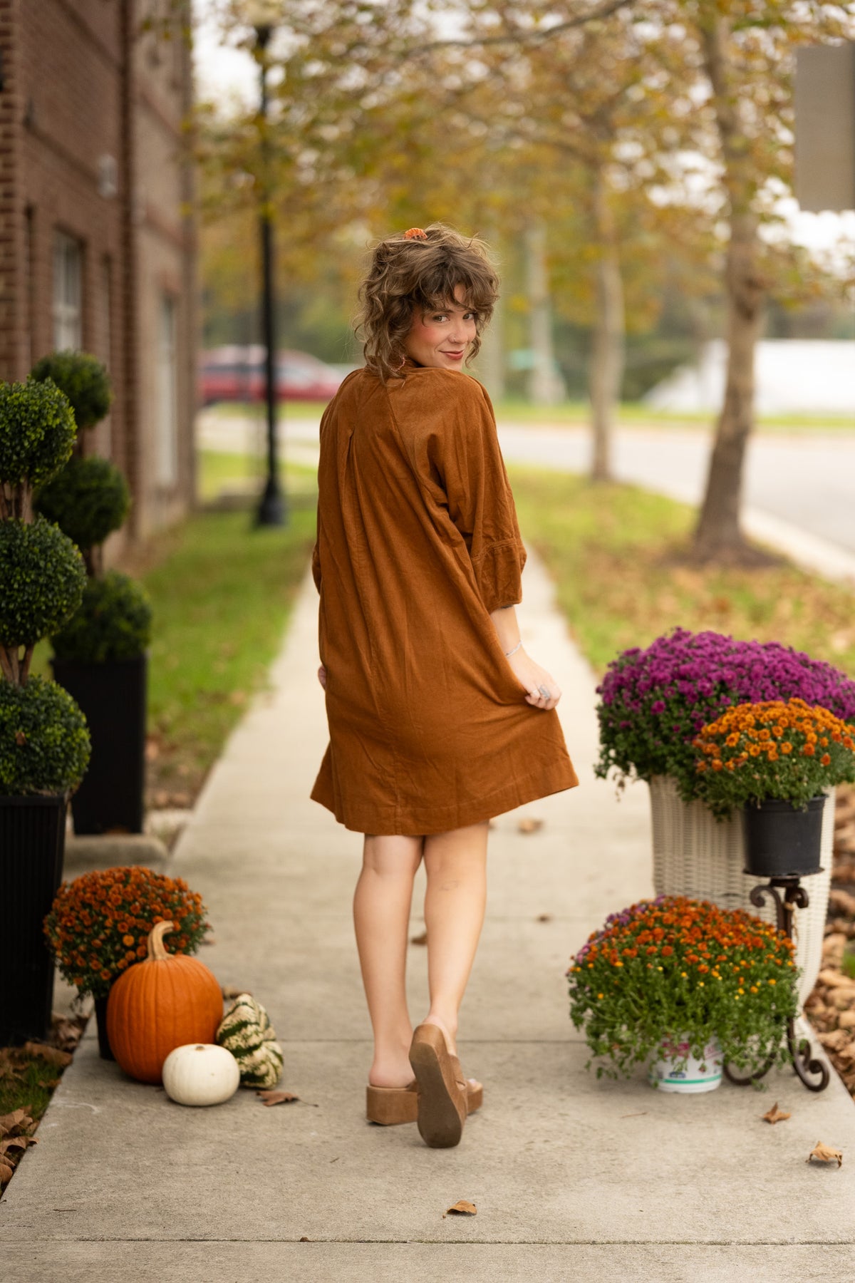 Anical Camel Dress