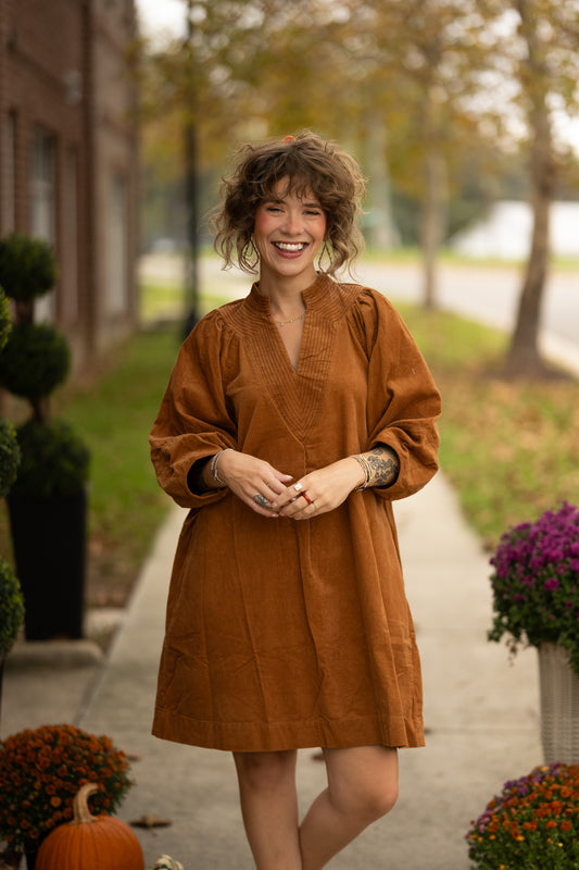 Anical Camel Dress
