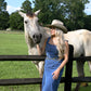 Huckleberry Denim Midi Dress