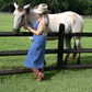 Huckleberry Denim Midi Dress