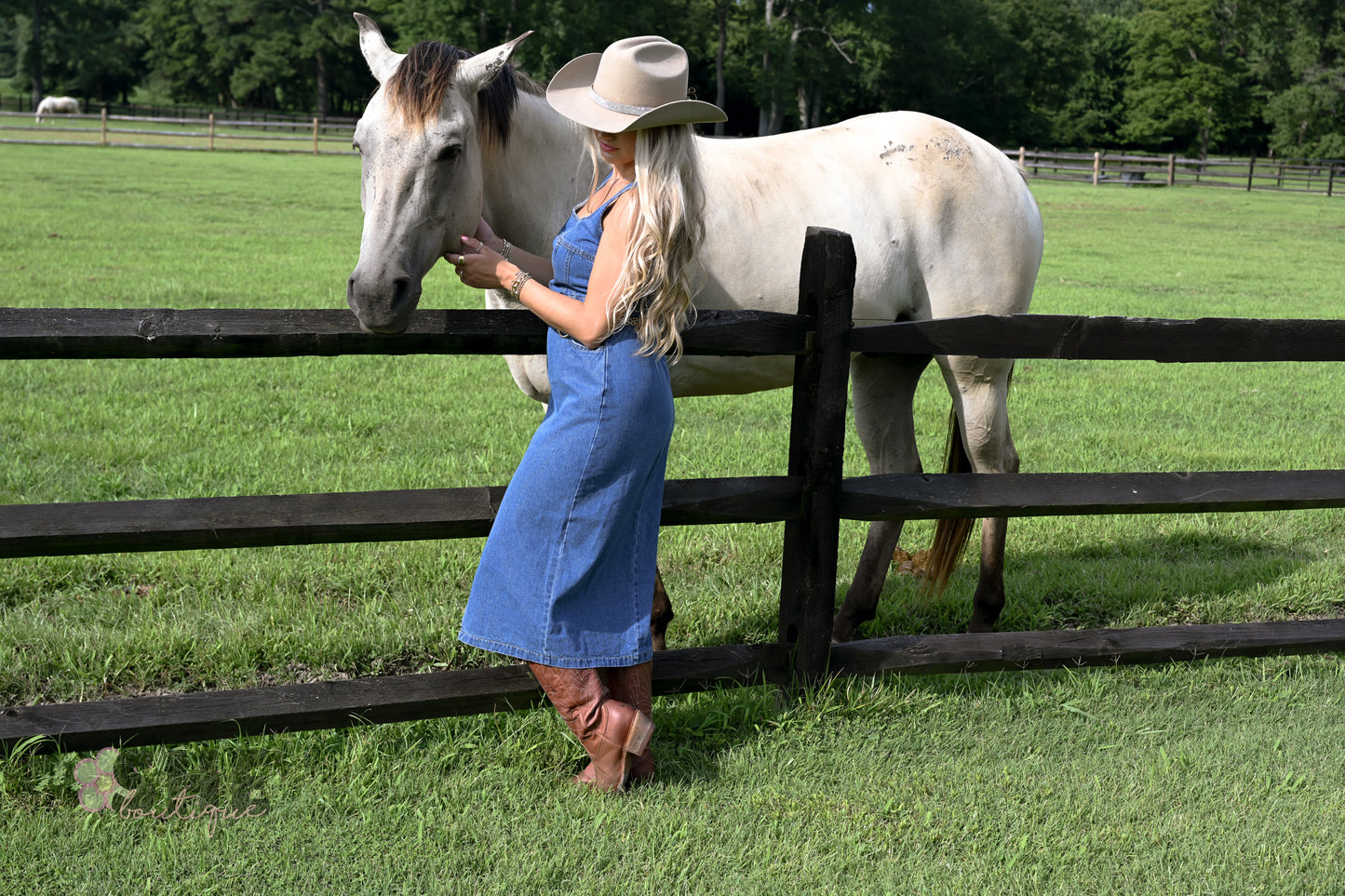 Huckleberry Denim Midi Dress