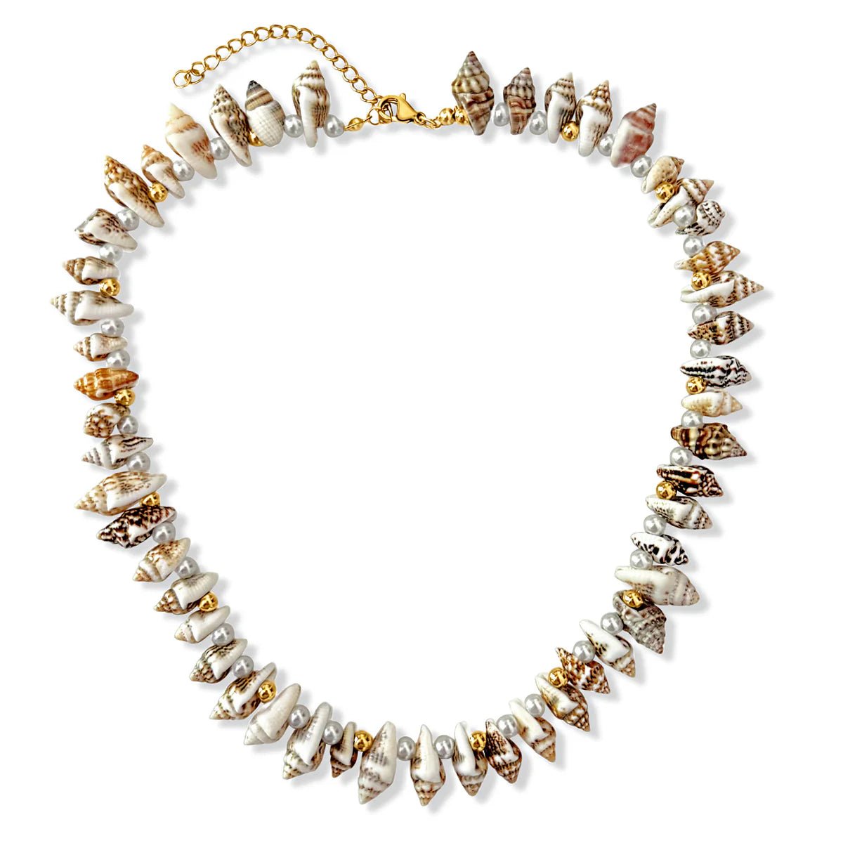 Aydi Shell Choker Necklace - She Chester