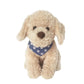 Bentley Golden Doodle Tan - Small - She Chester