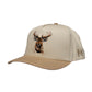 Buck Snapback - She Chester