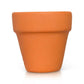 Can You Dig It? Pot - She Chester