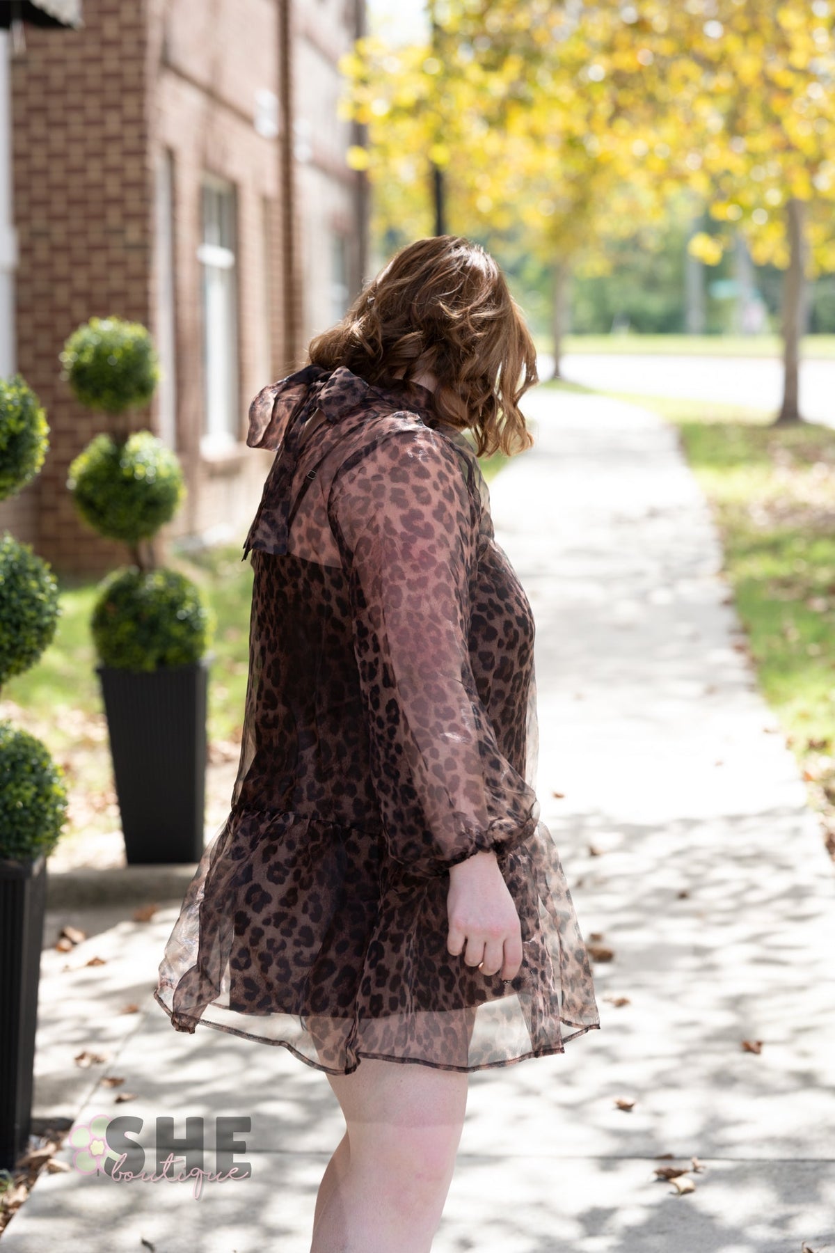 Catelina Cheetah Sheer Dress - She Chester