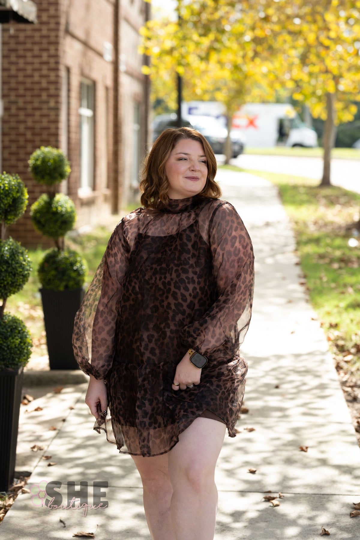 Catelina Cheetah Sheer Dress - She Chester
