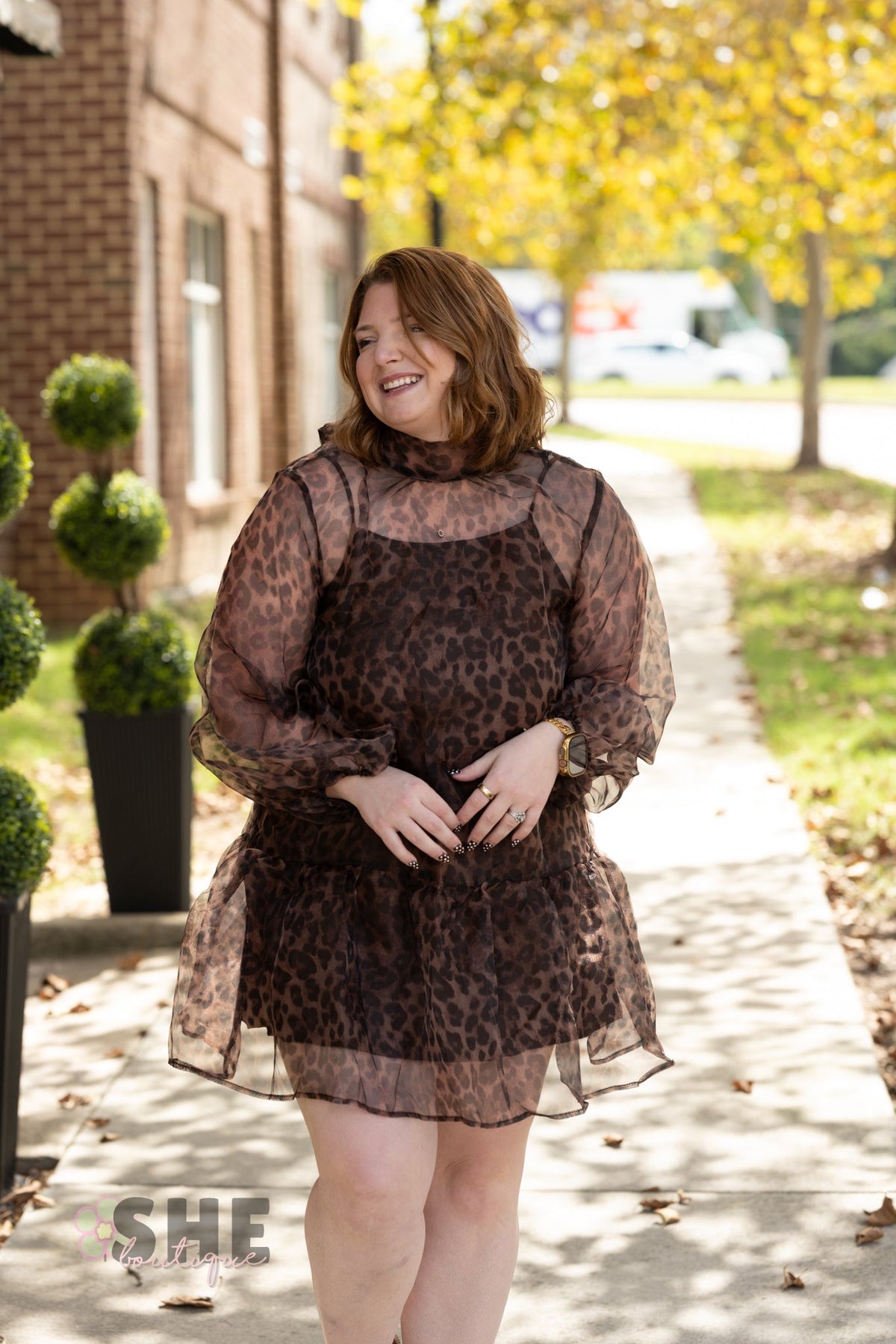 Catelina Cheetah Sheer Dress - She Chester