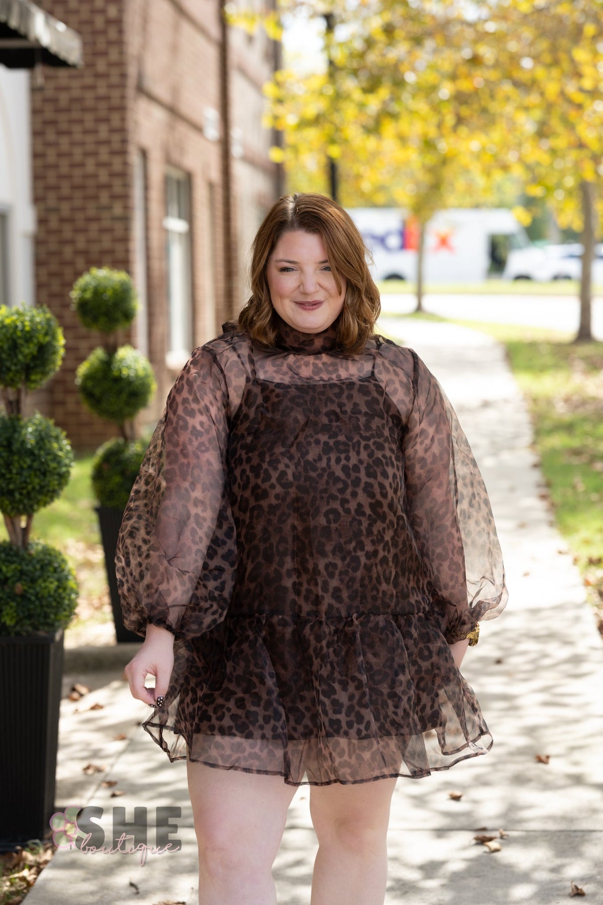 Catelina Cheetah Sheer Dress - She Chester